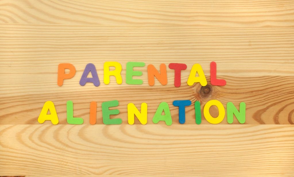  how to deal with parental alienation